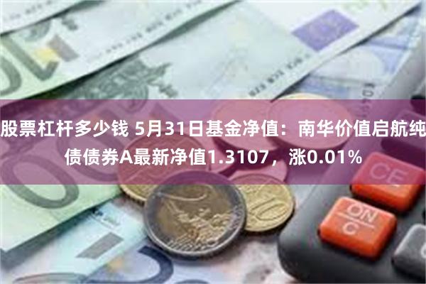 股票杠杆多少钱 5月31日基金净值：南华价值启航纯债债券A最新净值1.3107，涨0.01%