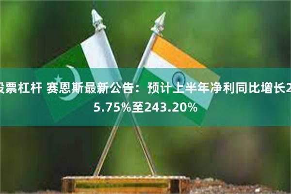 股票杠杆 赛恩斯最新公告：预计上半年净利同比增长215.75%至243.20%