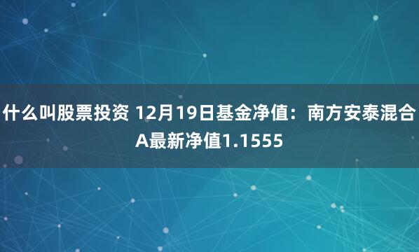 什么叫股票投资 12月19日基金净值：南方安泰混合A最新净值1.1555