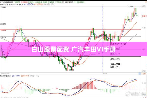 白山股票配资 广汽丰田VI手册