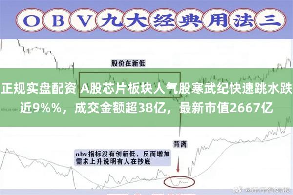 正规实盘配资 A股芯片板块人气股寒武纪快速跳水跌近9%%，成交金额超38亿，最新市值2667亿